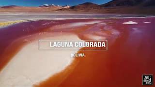 IT FINALLY HAPPENED DRONE DJI MAVIC PRO FLYING WITH FLAMINGOS BOLIVIA [upl. by Lamonica]