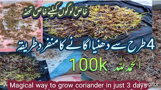 Magical Way to Grow Coriander in just 3 daysEasiest method to grow coriander at home in April month [upl. by Lledroc]