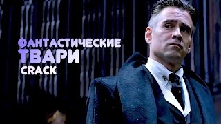 Фантастические твари  Fantastic beasts crack [upl. by Gotthelf]