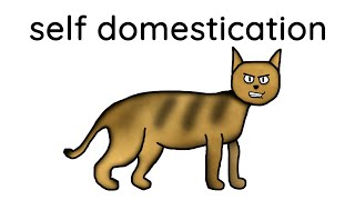 How Cats Domesticated Themselves [upl. by Ellierim]