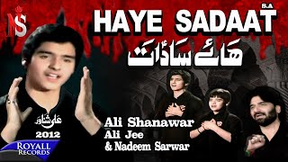 Ali Shanawar  Haye Sadaat  2012 [upl. by Acemat834]