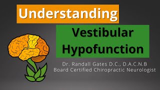 Understanding Vestibular Hypofunction [upl. by Nilloc]