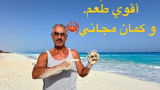 طُعم 🎣 مجاني🦀 [upl. by Mountfort301]