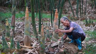 Super bamboo shoots grandma uses traditional to make Chinese food｜竹筍怎麼做最好吃？阿婆割回200斤教你正確吃筍不苦不麻｜ 玉林阿婆 [upl. by Asaert]