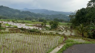 Seperti inilah Akses Jalan Menuju Kp Sarinieun yang berada Pakenjeng Garut Selatan [upl. by Eirahcaz306]