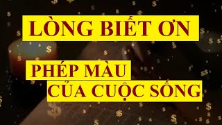 LÒNG BIẾT ƠN  PHÉP MÀU của cuộc sống  Sức mạnh tiềm thức [upl. by Goran258]