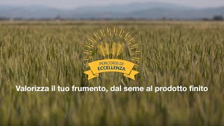 Percorsi di Eccellenza 2019 dal seme al prodotto finito [upl. by Santana]