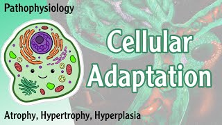 Pathophysiology  Cellular Adaptation  Atrophy Hypertrophy Hyperplasia Hani Laith شرح [upl. by Bahr]