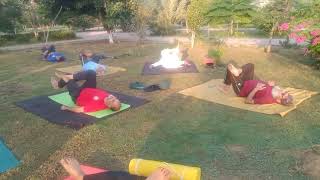 Back Pain Relief Exercise school Of yoga [upl. by Johny]