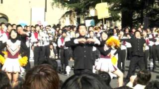 早稲田大学応援部 チャンスパターンメドレー2010 [upl. by Chally294]