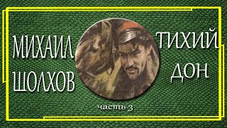 Михаил Шолохов Тихий дон Часть 3 [upl. by Ettari]