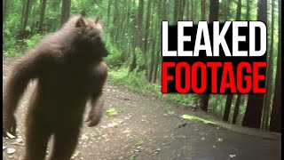 Unbelievable Trail Cam Captures That Shocked the WORLD [upl. by Yhtrod]