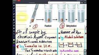 Microtechniqueمحاضرة1 [upl. by Onnem]