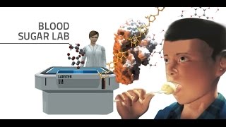 Labster Virtual Lab Blood Sugar Simulation [upl. by Brookner]