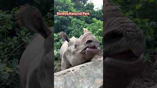 Bardiya National Park youtube shorts Bardiya youtubeshorts [upl. by Naired721]