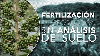 Alternativas Generales de Fertilización para Cafetales en la Etapa de Producción Tips del Profesor [upl. by Welch769]