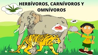 ANIMALES HERBÍVOROS CARNÍVOROS U OMNÍVOROS ANIMALES SEGÚN SU ALIMENTACIÓN [upl. by Oakes]