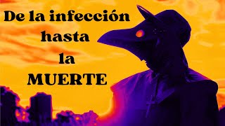 Sepsis y Muerte por choque séptico FISIOPATOLOGIA [upl. by Gristede521]