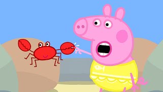 Meet Mr Crab 🦀 🐽 Peppa Pig and Friends Full Episodes [upl. by Eras887]