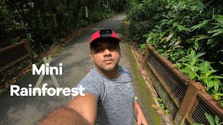 Bukit Timah Nature Reserve [upl. by Anwahsak271]