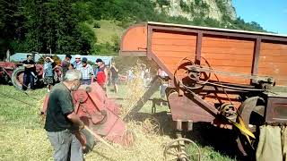 Vidéo de battage à lancienne avec une batteuse à Cornus en Aveyron [upl. by Yvel]