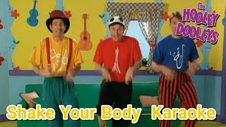 The Hooley Dooleys  Shake Your Body Karaoke [upl. by Yromem]