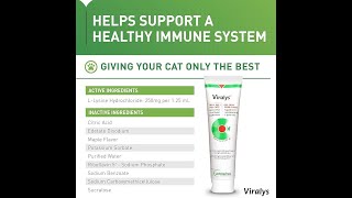 Vetoquinol Viralys Gel L Lysine Supplement for Cats [upl. by Rochester233]