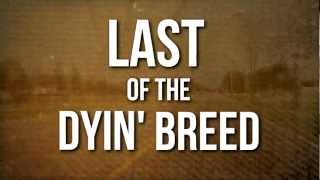 Lynyrd Skynyrd  Last of a Dyin Breed OFFICIAL LYRIC VIDEO [upl. by Merl283]