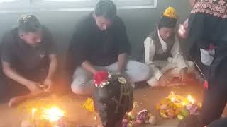 bhai tika  tihar  Kabindra goja [upl. by Divadleahcim]