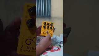 CP 60 Caline Wine Cellar pedal driver  DI for bass [upl. by Olia]