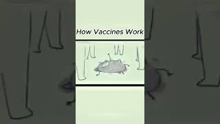 Funny animation how vaccine works funnyvideo [upl. by Feliks]