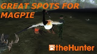 Thehunter Classic Great Spots For Magpie Goose HD 2018 [upl. by Sandry410]