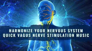 Vagus Nerve Stimulation Deep Relaxing Music  Reset And Calm The Vagus Nerve  Nerve Regeneration [upl. by Libenson]