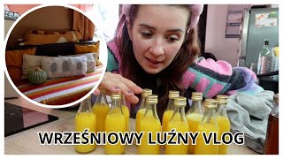 JESIENNE DEKORACJE I SHOTY IMBIROWE  WRZEŚNIOWY LUŹNY VLOG 🎃 [upl. by Adnimra380]