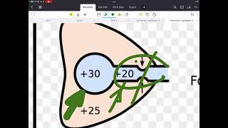 Respiratory physiology 3 [upl. by Loutitia]