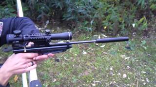 CROSMAN 2250b TESTING NEW SCOPE RATCATCHER [upl. by Timms674]