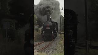 🇨🇿 Parní lokomotiva 4342186 train railway steam vlaky lokomotiva railway history railroad [upl. by Duwalt]