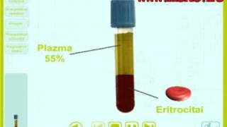 Kraujo sudetis IX klasei zmogaus biologijos I dalis [upl. by Papp]