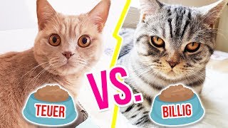 Katzen TESTEN teuerstes Katzenfutter vs billigstes  XLAETA [upl. by Gnart]