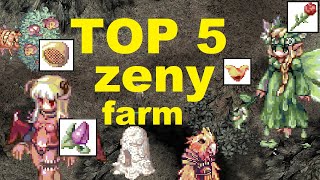 Ragnarok PreRenewal  Top 5 Zeny Farming  Places and Jobs [upl. by Ahsinnod]