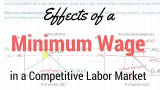 Minimum Wages in Competitive Labor Markets [upl. by Jesse]