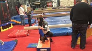 Elles First Day At Toddler Gymnastics [upl. by Swamy526]