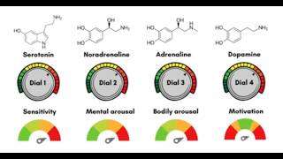 Medications and mood How the quotantidepressantsquot work THE 5 DIALS [upl. by Murrah]