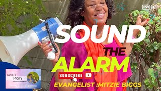 Powerful Song called  Sound The Alarm By Mitzie Biggs [upl. by Eliza]