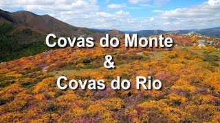 Covas do Monte amp Covas do Rio [upl. by Elnore582]