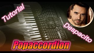 Despacito Luis Fonsi Accordioncover [upl. by Koval]