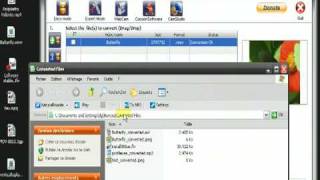 How to make avi DIVX for free using expert profiles in Quick Media Converter 365 and [upl. by Alimac406]