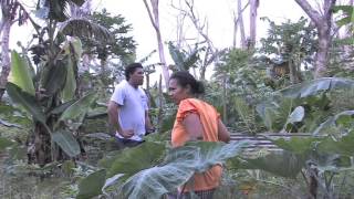 THE PACIFIC WAY STORY  MORDI Tonga Innovative Rural Development [upl. by Lolanthe233]