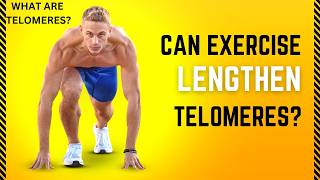 CAN EXERCISE LENGTHEN TELOMERES TELOMERES EXPLAINED [upl. by Ainecey576]