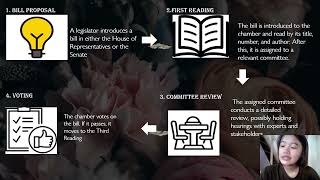 LAW MAKING PROCESS SALVIDAS [upl. by Tadashi]